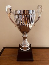 🏆 Silver Trophy 15” |