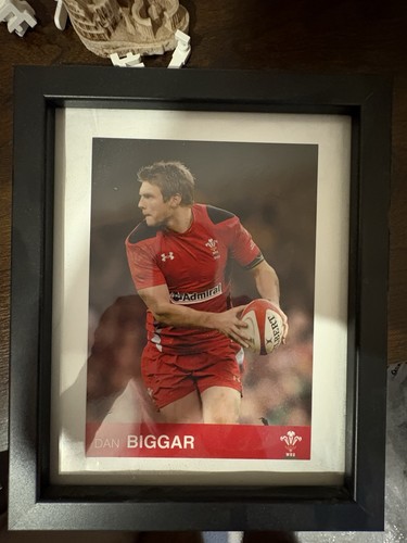 Dan biggar wales rugby - dan, union