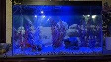 Clear Seal Aquarium Tank Complete Set-Up with Filter, LED Light And Accessories!