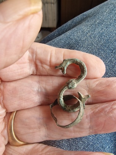 Metal detecting find viking - find,