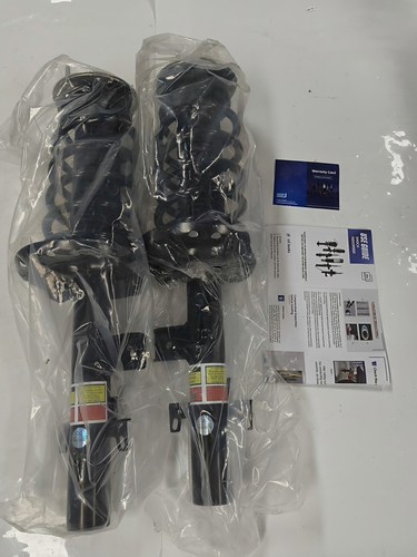 Rear shock struts assembly - rear,