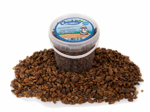 Litre dried silkworm pupae - dried,