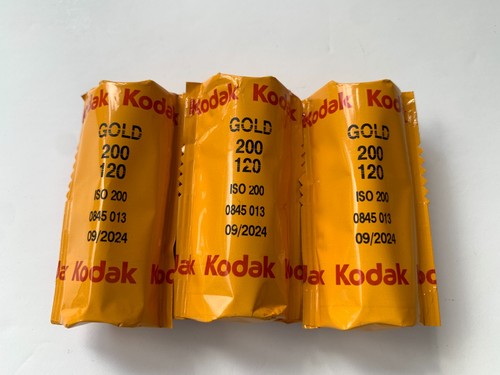 Kodak gold iso - gold, colour