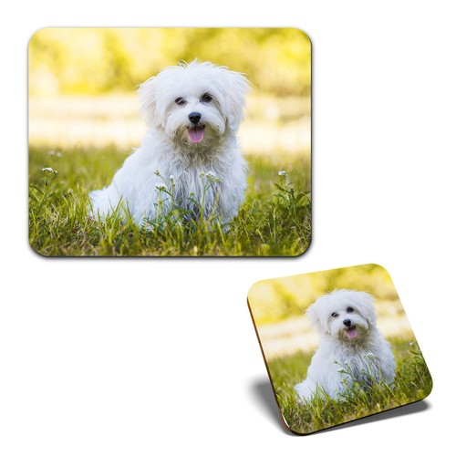 Mouse mat 1 square coaster - mat,