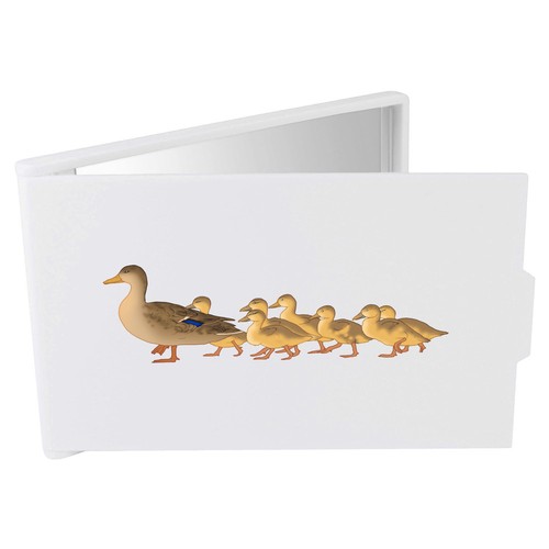 Duck family following - 'duck, following'