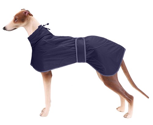 Greyhound winter coat - winter, coat,