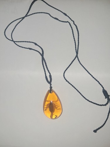 Egyptian scorpion amber - in,