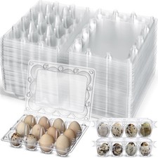 60 Pcs Giant Quail Egg Cartons