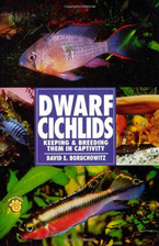 Dwarf Cichlids: Keeping and Breeding Them in... by Boruchowitz, David E Hardback