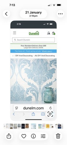 Duck egg blue - egg,