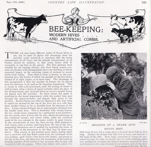 Bee keeping modern - hives, &