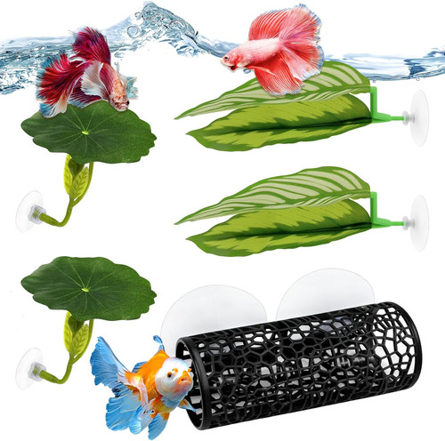 5pcs betta hammock fish - &,