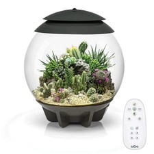Biorb air terrarium grey - -,