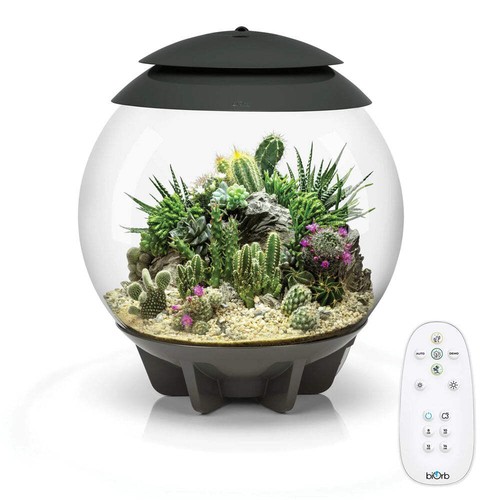 Biorb air terrarium grey - biorb,