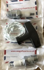 Seagull Outboard Engine Spark