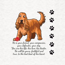 Dog-English Cocker Spaniel