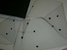 Black bird cage veil netting