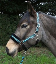 Rhinegold ‘ I Love my Pony