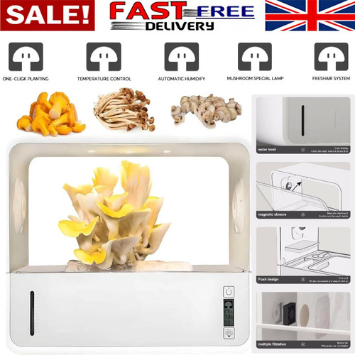 Mushroom grow box with - grow,