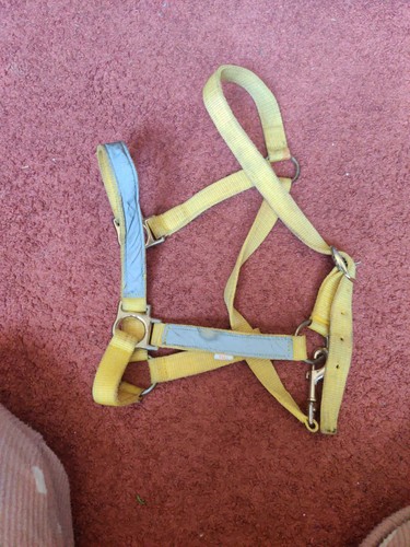 Vis full size horse collar - hi,