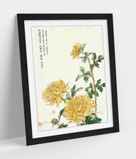 YELLOW CHRYSANTHEMUM FLOWERS