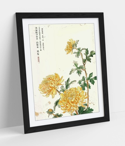 Yellow chrysanthemum flowers - yellow,