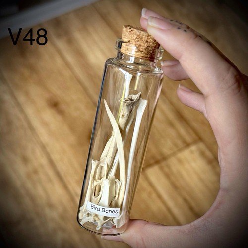 Pigeon bones glass vial - a,