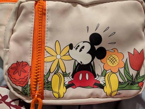 Disney parks mickey co - disney,