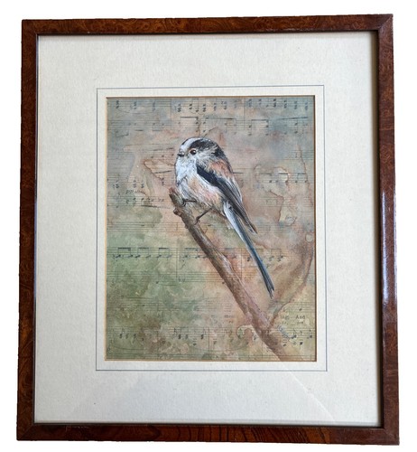 Framed bird watercolour - framed,