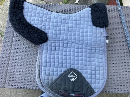 Large grey dressage mieux - grey, le