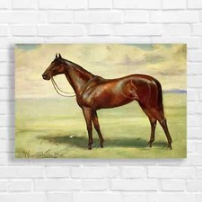 Chestnut Horse Original Canvas