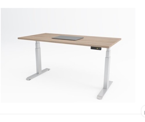 Flex sit stand twin motor - flex,