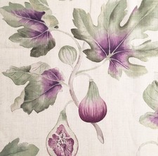 5.3 meters x SANDERSON "Fig