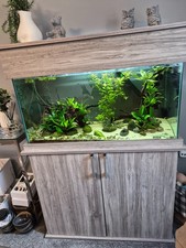 tropical fish tank full set up