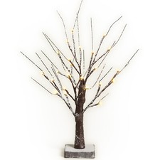 NETTA 2FT Twig Birch Tree with