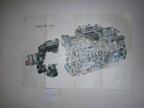 Original fair size jaguar - original,
