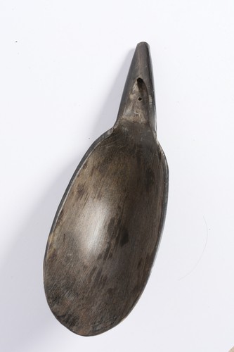 Vintage sioux bison - vintage,