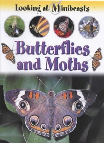 Butterflies and moths - butterflies,