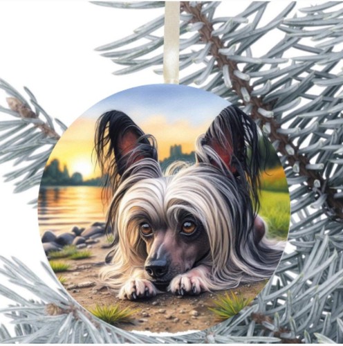 Chinese crested dog hanging - chinese,