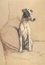 Cecil Aldin A Dozen Dogs or So 1928 Terrier Wall Art Photo Print Picture 