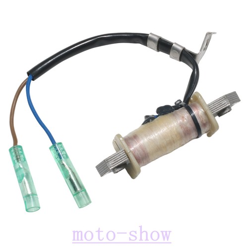Boat charge coil - assy, for
