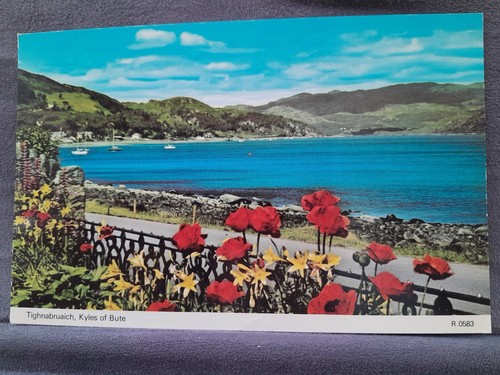 Tighnabruaich 28977 - tighnabruaich,