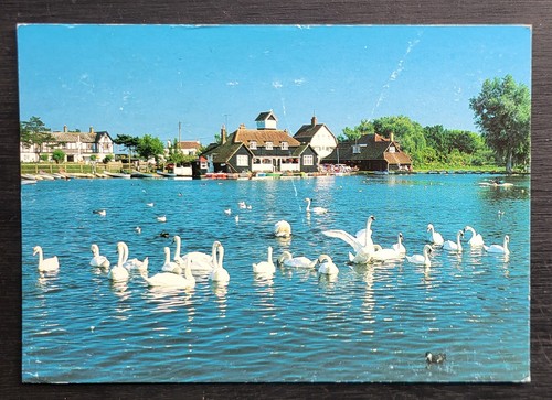 Vintage postcard unused - vintage,
