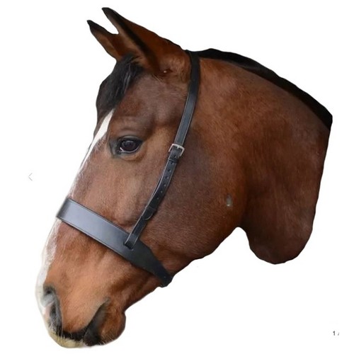 Mackey classic wide - classic, flat