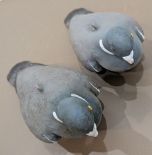 2 x Vintage Rubber Decoy Pigeon Hunting Shooting
