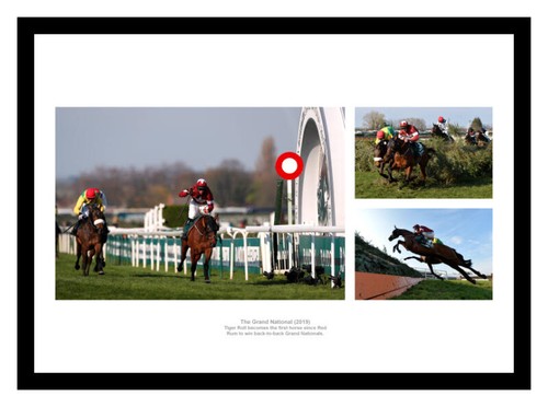 Tiger roll 2019 - roll,