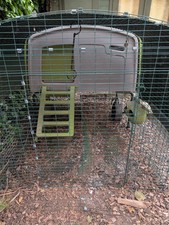 Eglu omlet cube - eglu, coop