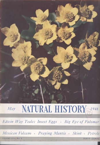 1948 natural history - natural, magazine