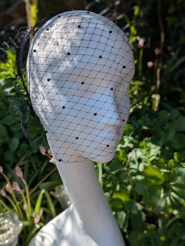 Beautiful black birdcage veil - beautiful,