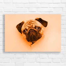 Adorable Pug Puppy Orange Canvas Print Large Picture Wall Art